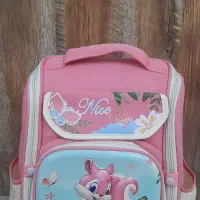 کوله پشتی خارجی طرح سنجاب