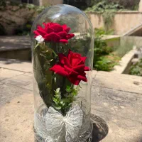گل رز مصنوعی داخل حباب نو