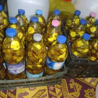 ترشی بادمجان ریز و اعلا