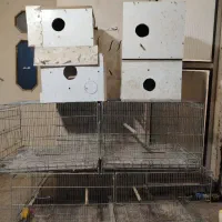 قفس 4 خان غلامی با لونه