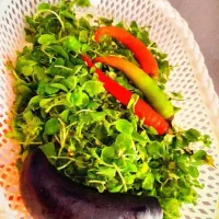 ترشی خوشمزه