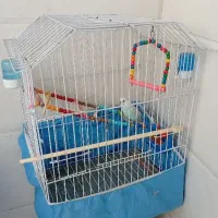 قفس بزرگ