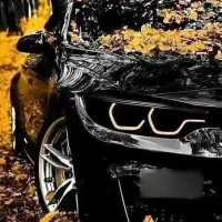 خ حواله خودرو سورن دناریرا207بی وای دی فیدلیتی و.