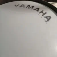 طبل گ م ش ده