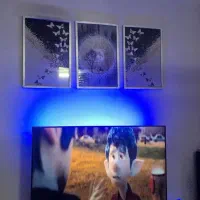 تابلوسه تیکه