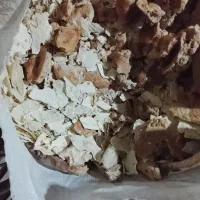 فروش نون خشک