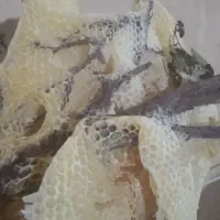 عسل کاملاً طبیعی