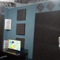 همخوان خانم جهت همکاری در آلبوم موسیقی پاپ