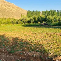 فروش زمین منطقه شش پیر