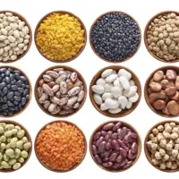 حبوبات فروشی ب قیمت عمده