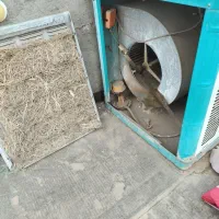 کولر 5500 ابی