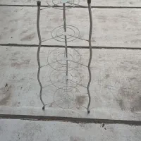 ایستاده