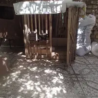 گنجه خروس لاری
