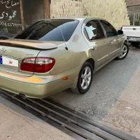 ماکسیما بژ مدل ۸۱