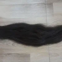فروشنده مو طبیعی