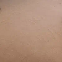 دوتا موکت دوازده متری