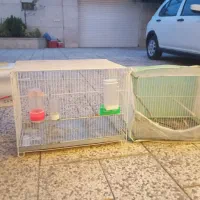 قفس پرنده و پرنده