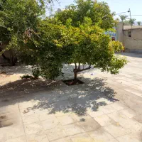 خانه-ویلایی-250-متری-درب-حیاط