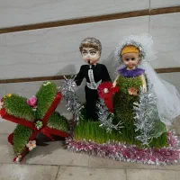 سبزه های طبیعی برای مراسمات