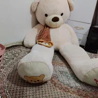 خرس دو متری