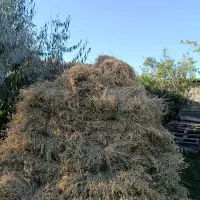 یونجه|لوازم جانبی حیوانات|ارومیه, |دیوار