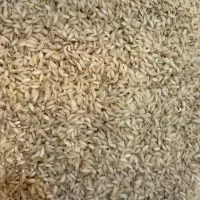 برنج عنبربو با پخت درجه یک و عالی