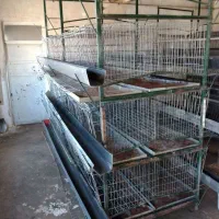 قفس مرغ تخمگذار چهارطبقه ایستاده