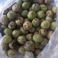 گردو|خوردنی و آشامیدنی|کرمانشاه, |دیوار