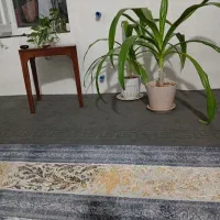 فروش