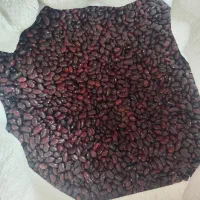 فروش و خرید حبوبات ،خاکشیر و برگ زرد آلو و ...