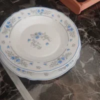 بشقاب فرانسه ارکواپال