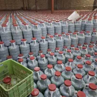 خیارشور ترد و خوشمزه باسمنج با ارسال رایگان