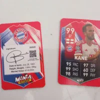 کارت فوتبالی HARRY KANE