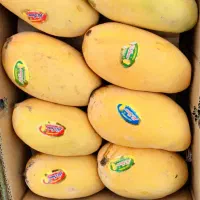 انبه درجه پاکستان 1