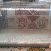 آکواریوم