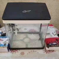 آکواریوم دلسا