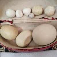 سنگ آسیاب اصل