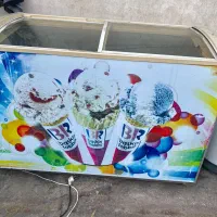 یخچال بستنی سالم
