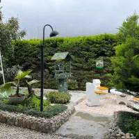 ویلا تمیز جنگلی