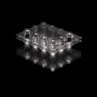 ظرف یکبار مصرف تخم بلدرچین ۱۲ تایی