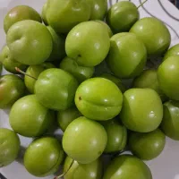 گوجه سبز
