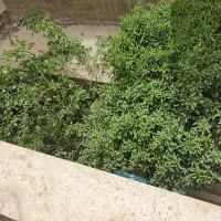 145 متر خانه قابل سکونت