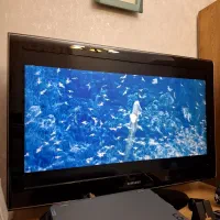 تلویزیون LCD سامسونگ ۴۰ اینچ LA40A610A3R