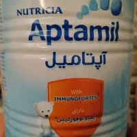 قوطی