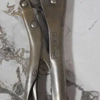 انبرقفلی آمریکایی