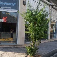 اجاره مغازه