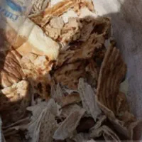 نان خشک