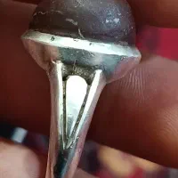 هبهاب مغربی