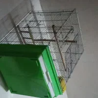 قفس