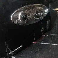 چرخ گوشت گاسونیک